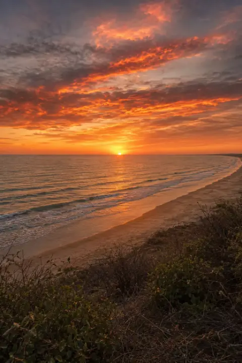 Atardecer intenso sobre el mar, visto desde una orilla con vegetación baja.
