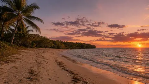 Playa amplia al atardecer, con palmeras en la orilla y el sol tocando el horizonte.