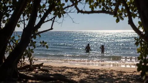 Dos personas en el agua, vistas desde la sombra de los árboles de la playa.
