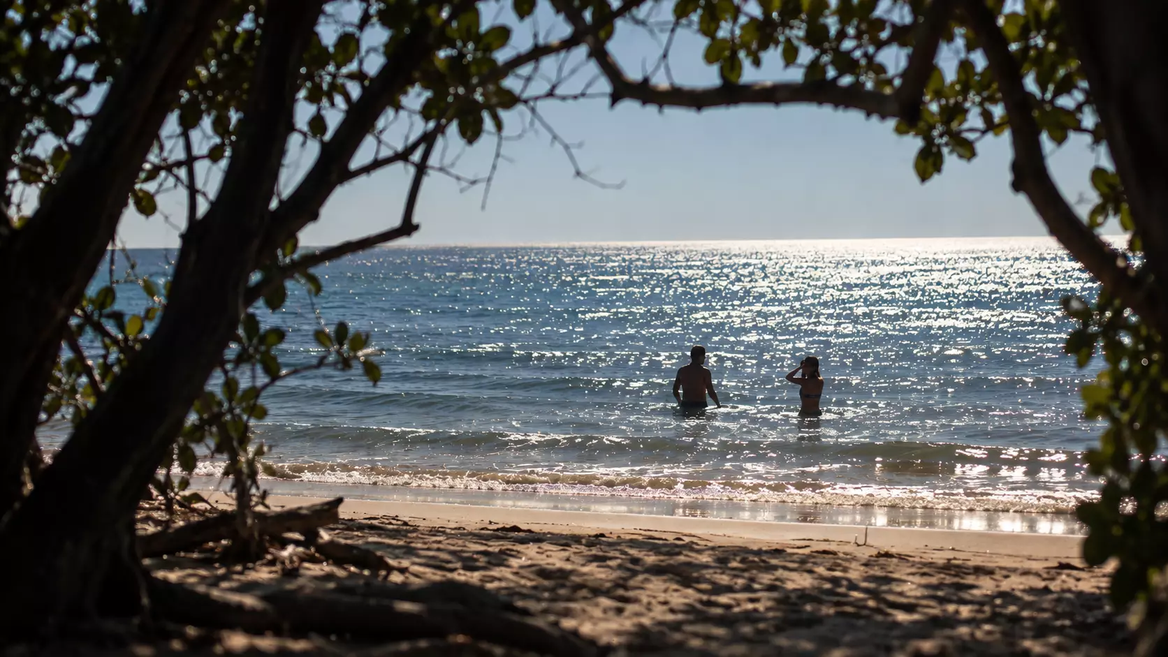 Dos personas en el agua, vistas desde la sombra de los árboles de la playa.