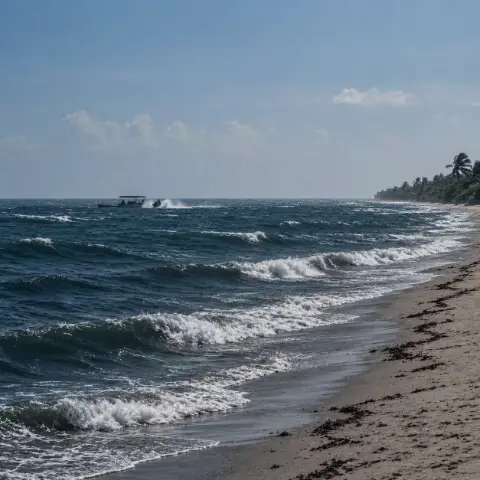 Olas rompiendo sobre una playa larga bordeada de vegetación.