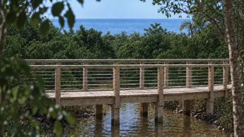 Muelle de madera con barandas sobre el agua de la laguna, con la vegetación y el mar al fondo.
