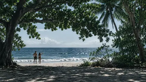 Una pareja camina por la orilla, enmarcada por las ramas de la playa.