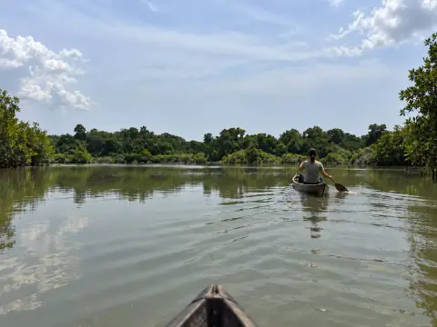 Una persona rema en canoa por la laguna, entre la vegetación de la orilla.