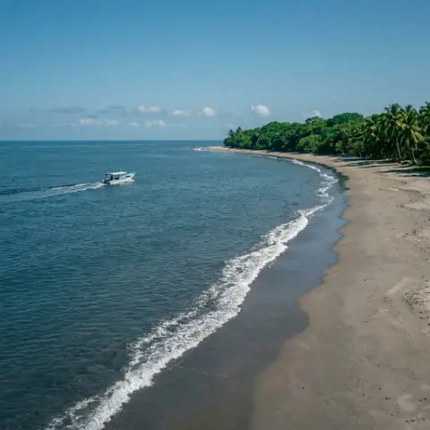 Vista aérea de una playa larga bordeada de palmas, con una lancha navegando cerca de la orilla.