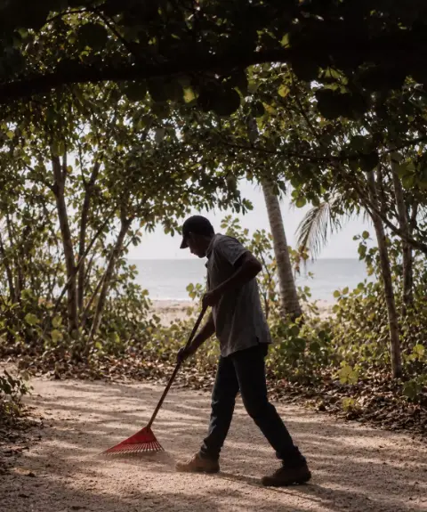 Un hombre barre con un rastrillo el camino de arena que lleva a la playa, bajo los árboles.